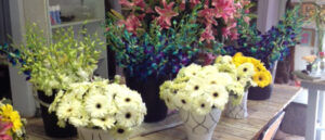 just-flowers-joburg-florist-back-2