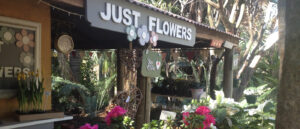 just-flowers-joburg-florist-front