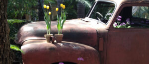 just-flowers-joburg-florist-truck