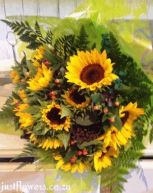 Friendship / Happy Birthday