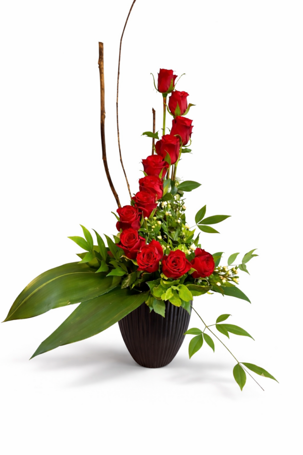 12 Red Roses Arranged