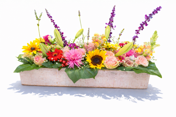 Grouped Arrangement in Natural Wood