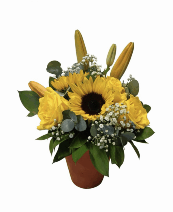 Delightful Sunflowers