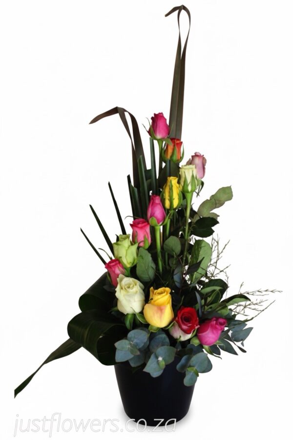 Dozen Roses Arranged