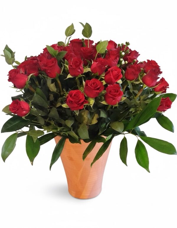 Red Roses Mega 40, 50 or 60