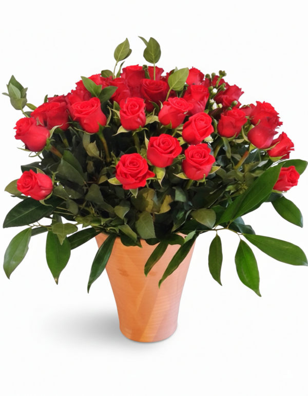 Red Roses Mega 40, 50 or 60