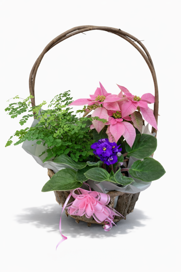 3 Plant Basket