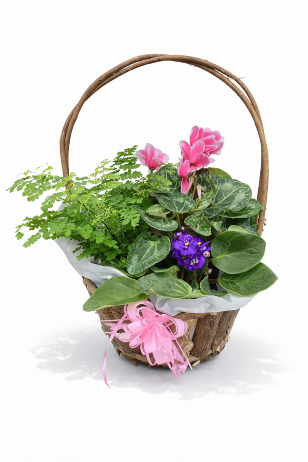 Three Plant Basket