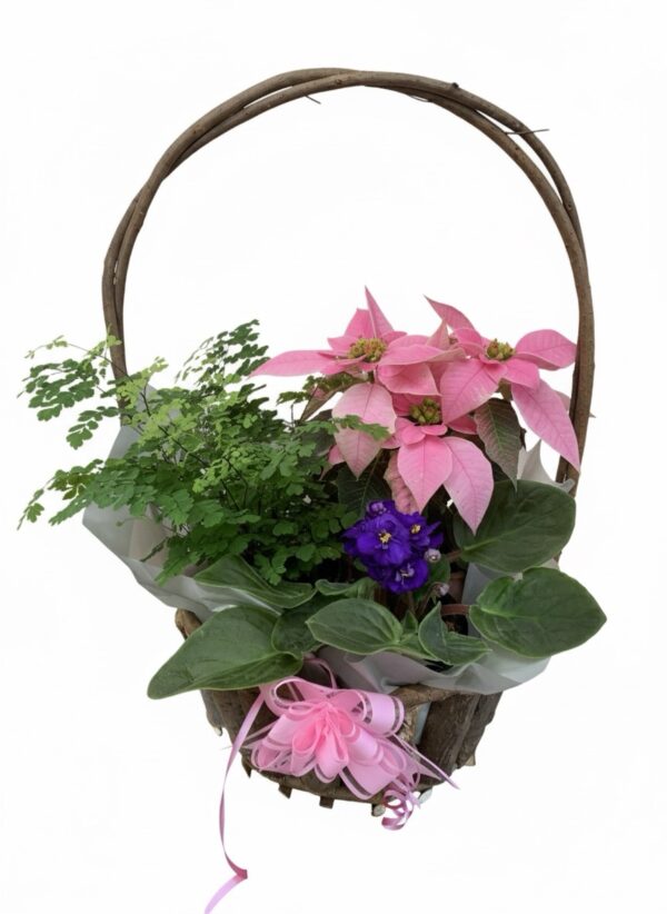 3 Plant Basket