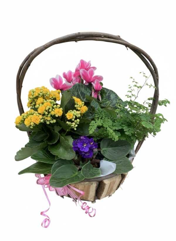 4 x Plant Basket