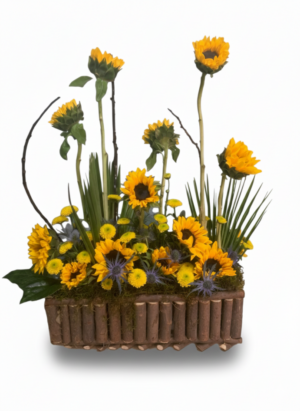 Friendship / Happy Birthday